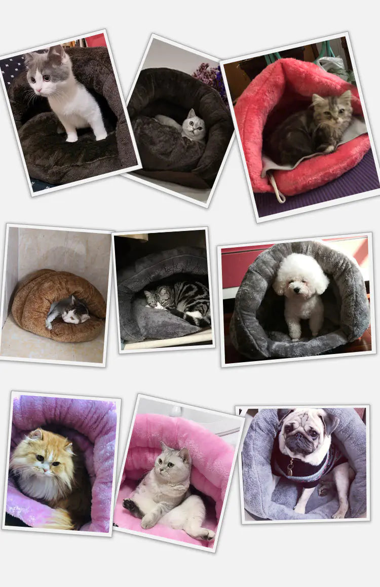 Cozy Winter Cat Cave Bed – Warm, Enclosed & Ultra-Comfortable