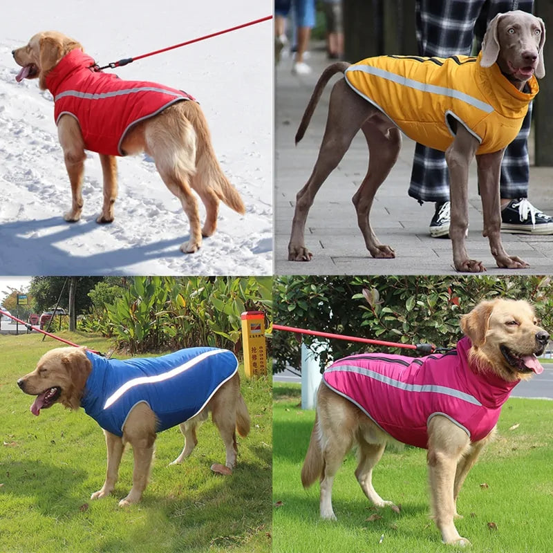 Waterproof Dog Jacket β Warm, Windproof & All-Weather Protection
